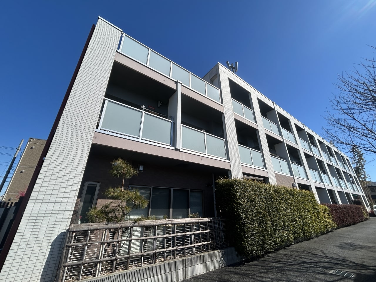 アンドカンパニー マイライフ深大寺